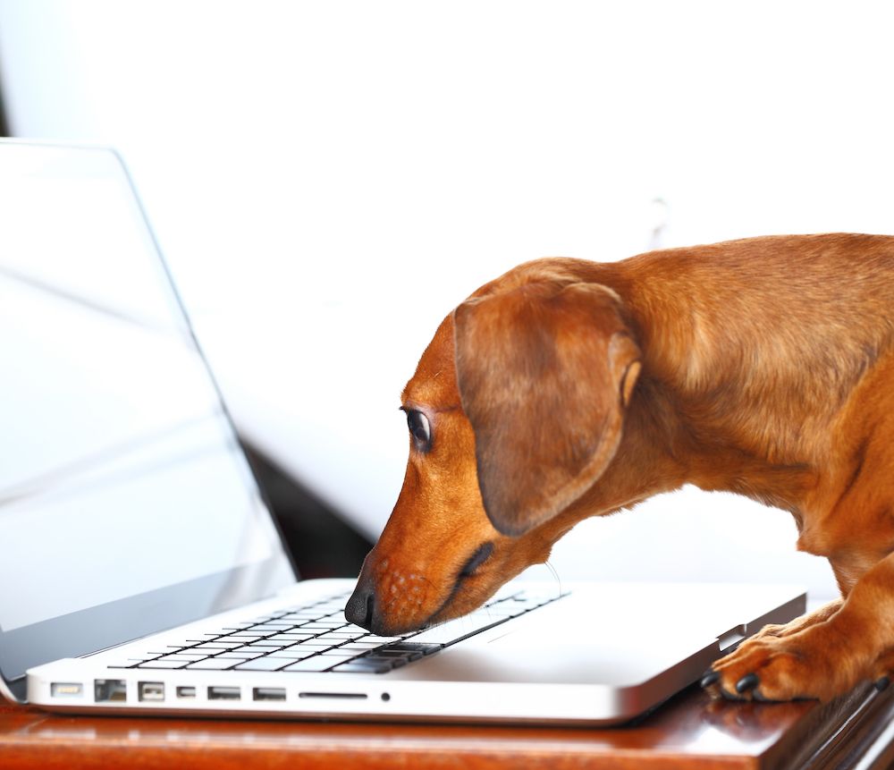 "I Am So Zoomed Out!"